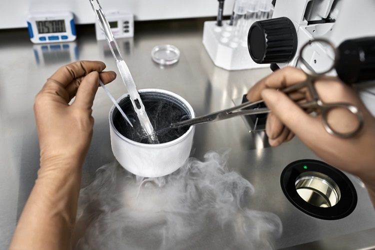 Egg Freezing