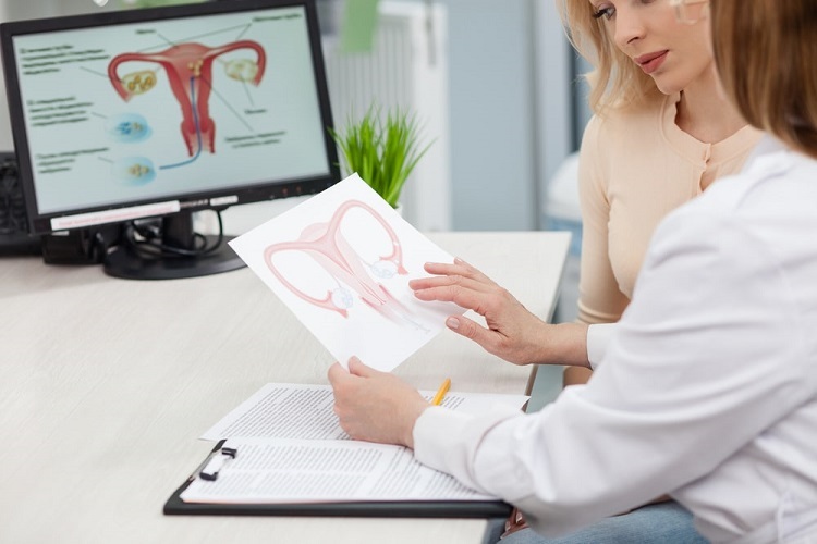 Fertility Specialist