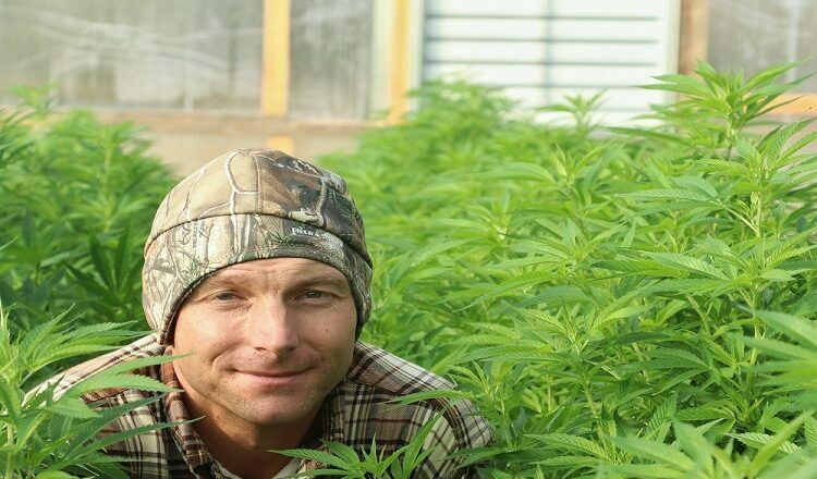 What the 2018 Farm Bill Didn't Do for Cannabis Cannabis